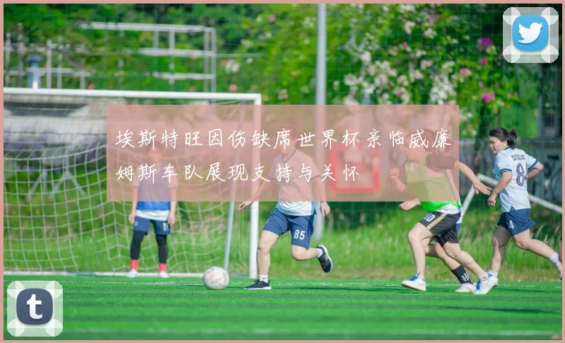 埃斯特旺因伤缺席世界杯亲临威廉姆斯车队展现支持与关怀