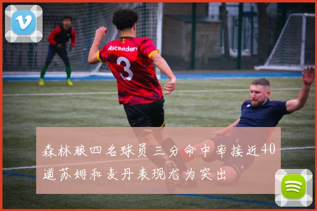 森林狼四名球员三分命中率接近40道苏姆和麦丹表现尤为突出